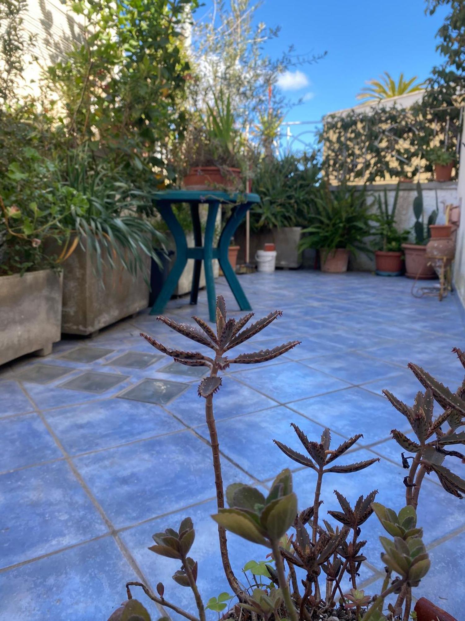 Casa Vacanza Maronti Barano d'Ischia Bagian luar foto